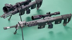Weapons Guns sniper rifles dsg-1