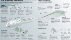 Weapons infographics machine gun
