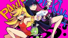 Weapons Katana panty and stocking with garterbelt