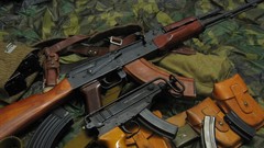 Weapons scorpions ak 74