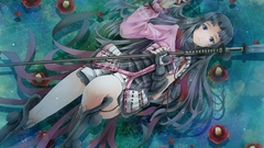 Weapons sengoku basara Oichi