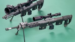 Weapons sniper rifles DSR-1