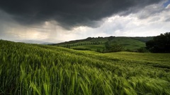 Weather ESPECIALLY edfbd extremes