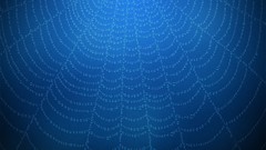 Web abstract water drops multicolor