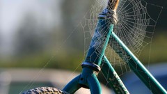 Web spiders Bicycles