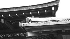 Web Temples grayscale