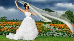 Weddings Isabella Matias