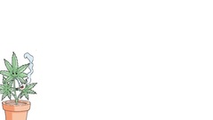 Weed marijuana fun Art