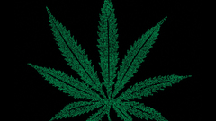 Weed words Made some