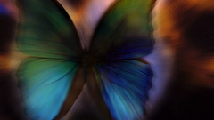 Weirdarts com nice to