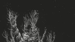 Welcome home high Resolution