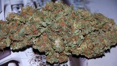 Well high some This works dsc try anugz