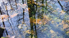 Well iron water nature