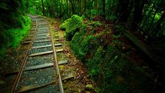 Well The suits name daz