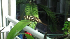 Went to san Francisco