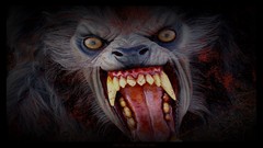 Werewolves
