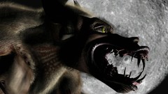 Werewolves moon