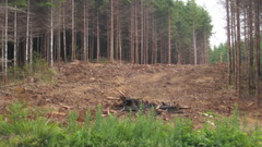 West coast road high