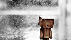 Wet danboard rain