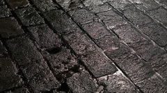 Wet grayscale Bricks