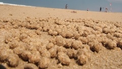 Wet sand peoples nature