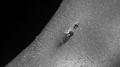 Wet stomach monochrome pierced