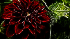 Wfsatthirdfull dunno long time