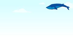 Whale hey wg Made