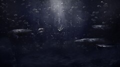 whale shark Desktopography fish Animals underwater Sea Life