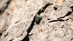 Whatwrong ) With This