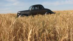 Wheat cars fields hot rod classic cars
