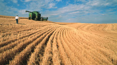 Wheat field The bread