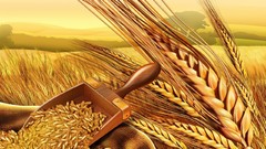 Wheat food illustrations