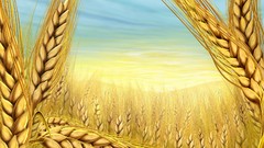 Wheat paintings multicolor