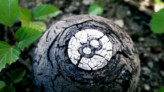 While answer dumping 1280x960 forgottengames await