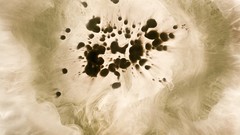 White abstract blood artwork digital art