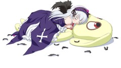 White Anime white hair anime girls rozen maiden suigintou 