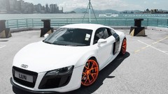 White audi r8