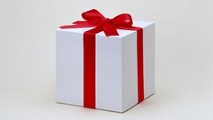 White award Gifts reward wrapping present Trophy PRIZE bonus
