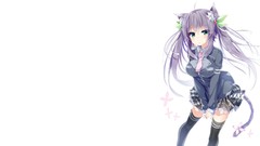 White background anime girls nekomimi Simple Background 