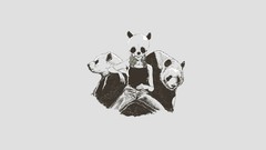 White background artwork panda bears