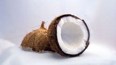 White background colors Vitamins fruits fresh strong coconuts