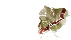 White background Dota Dota 2 pudge video games valve 