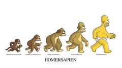 White background Evolution The Simpsons Homer Simpson