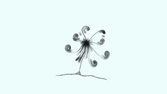 White background minimalistic Flowers