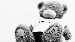 White background monochrome teddy bears stuffed animals