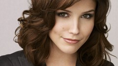 White background suit sophia bush