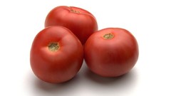 White background tomatoes