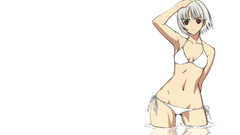 White background tony taka