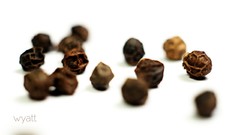 White background wyatt